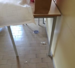 IMG 20170913 WA0004 300x270 SANITÀ CAMPANA, ENTRO UN ANNO IL PRIMO MODELLO ORGANIZZATIVO D’ITALIA, DE LUCA DOCET MA NON CONOSCE L’OSPEDALE DI MADDALONI   PRIMA PUNTATA...