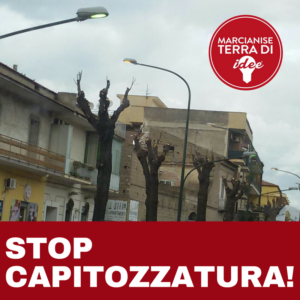 STOP CAPITOZZATURA 1 300x300 TERRA DI IDEE A DIFESA DEL VERDE COMUNALE