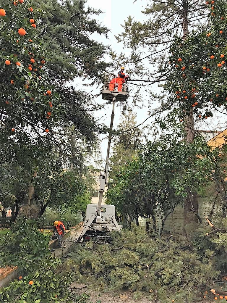 %name VERDE PUBBLICO: PARTITI I LAVORI IN ALCUNE ZONE DELLA CITTÀ