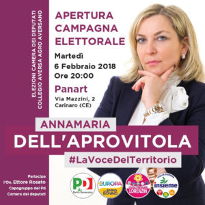 BANNERA APERTURA CAMPAGNA ELETTORALE DELLAPROVITOLA CON CAPOGRUPPO PD ROSATO 300x300 AVERSA, COMINCIA OGGI LA CAMPAGNA ELETTORALE DI ANNAMARIA DELLAPROVITOLA