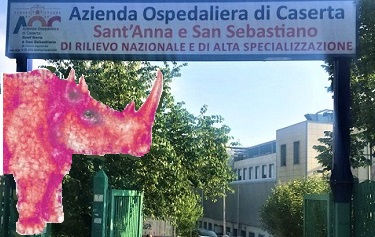 ospedale 1 OSPEDALE… E TRA LE RUGHE DEL RINOCERONTE…SI ANNIDA IL MISTERO
