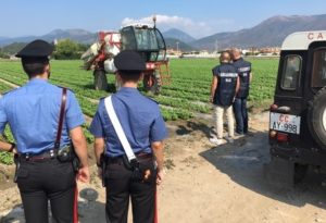 controlli CC Tutela Lavoro 300x205 CONTROLLI SUL LAVORO, DENUNCIATO TITOLARE AZIENDA AGRICOLA