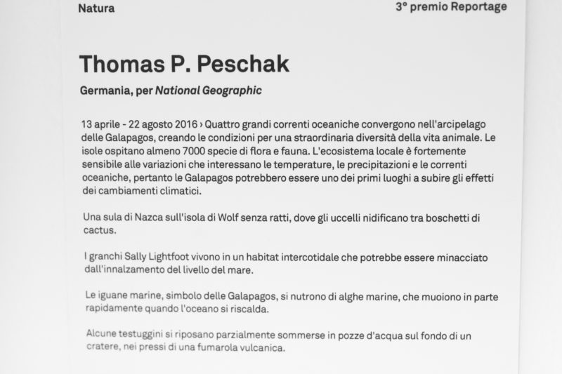 GFCG4318 WORLD PRESS PHOTO EXHIBITION LA MOSTRA DEL FOTOGIORNALISMO PIU IMPORTANTE DEL MONDO: LA FOTOGALLERY