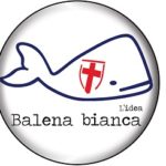 BALENA BIANCA 150x150 COMUNALI, AVERSA: BALENA BIANCA PRONTA A SCENDERE IN CAMPO