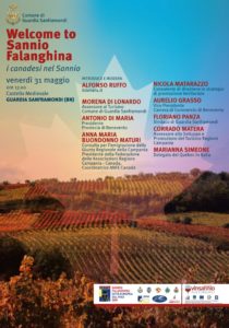 %name WELCOME TO SANNIO FALANGHINA, INCONTRO IL 31 MAGGIO AL CASTELLO DI GUARDIA SANFRAMONDI