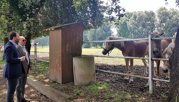 4 INCREMENTO IPPICO, ZINZI: DIVENTI RISORSA PER IL TERRITORIO...LA REGIONE INVESTA