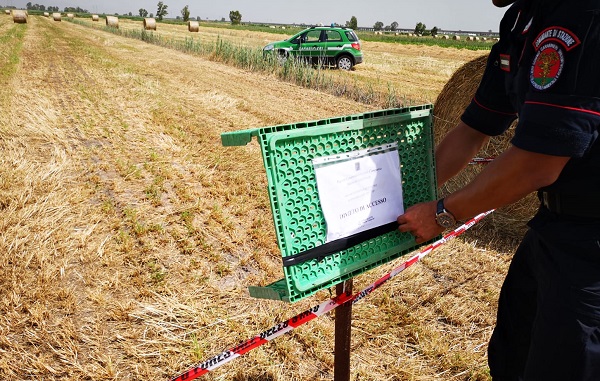 IMG 20190612 WA0007 VILLA LITERNO: LA FORESTALE SEQUESTRA ALTRI DUE FONDI AGRICOLI