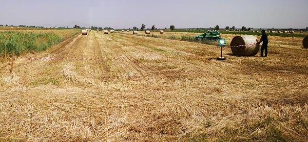 IMG 20190612 WA0008 VILLA LITERNO: LA FORESTALE SEQUESTRA ALTRI DUE FONDI AGRICOLI