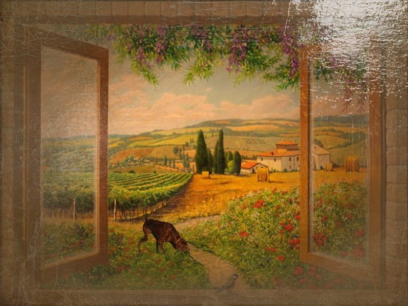 CAMPAGNA QUADRO LA STIPA