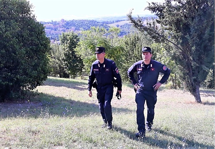 vigilanza orso ISERNIA, TUTELA DELL’ORSO MARSICANO: IN AZIONE I FORESTALI