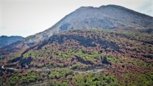 vesuvio 300x169 PRESENTATO REPORT ATTIVITÀ PROGETTI DEGLI ULTIMI 5 ANNI PER ENTE PARCO NAZIONALE VESUVIO