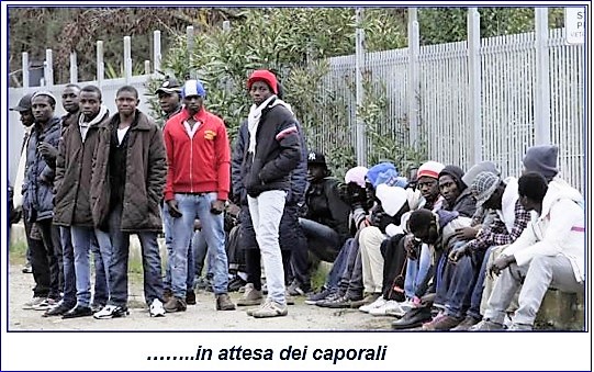 immigrati ASL, COVID E TUTELA IMMIGRATI? NO PROBLEM, BASTA UN ALTRO PROGETTO