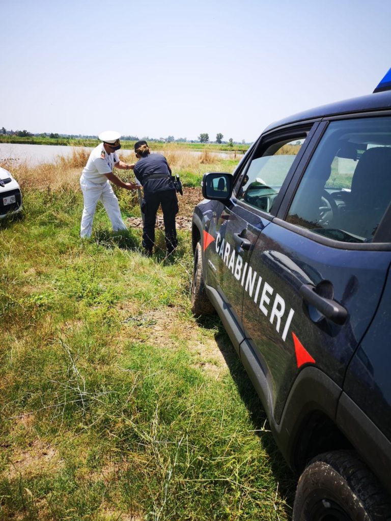 %name INQUINAMENTO CANALE AGNENA, SEQUESTRATO ALLEVAMENTO