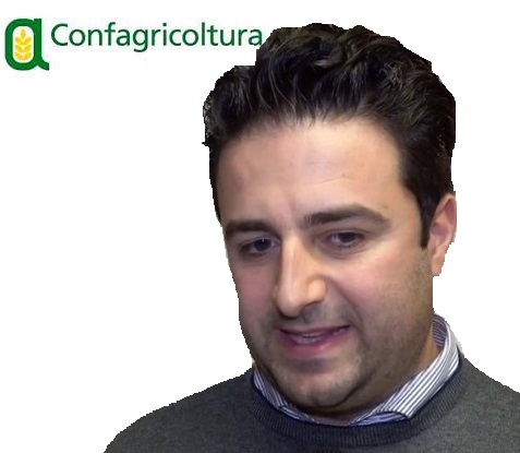%name CONFAGRICOLTURA CAMPANIA INTERVIENE SULLOLIO CAMPANIA IGP