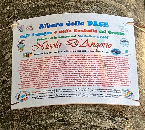 298292224 387446630161408 2710810546840530375 n 1 MATESE, BOCCA DELLA SELVA: ALBERO INTITOLATO A NICOLA DANGERIO, PRESIDENTE LEGAMBIENTE CASERTA E PRO LOCO