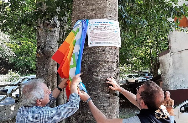 scopertura targa albero nicola MATESE, BOCCA DELLA SELVA: ALBERO INTITOLATO A NICOLA DANGERIO, PRESIDENTE LEGAMBIENTE CASERTA E PRO LOCO