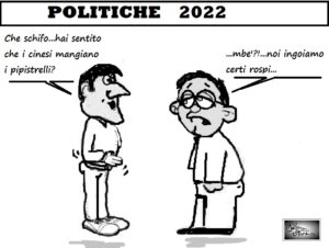 POLITICHE 2022 300x226 LE VIGNETTE DI SILVANA