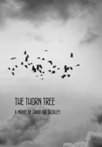 The Thorn Tree 208x300 CASERTA, INTIMALENTE FILM FESTIVAL APRE DOMANI 14 DICEMBRE CON LA PROIEZIONE DI TRE FILM