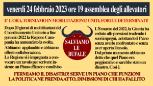 assemblea 24.2.23 300x169 COORDINAMENTO UNITARIO IN DIFESA PATRIMONIO BUFALINO, RIUNIONE A CASAL DI PRINCIPE