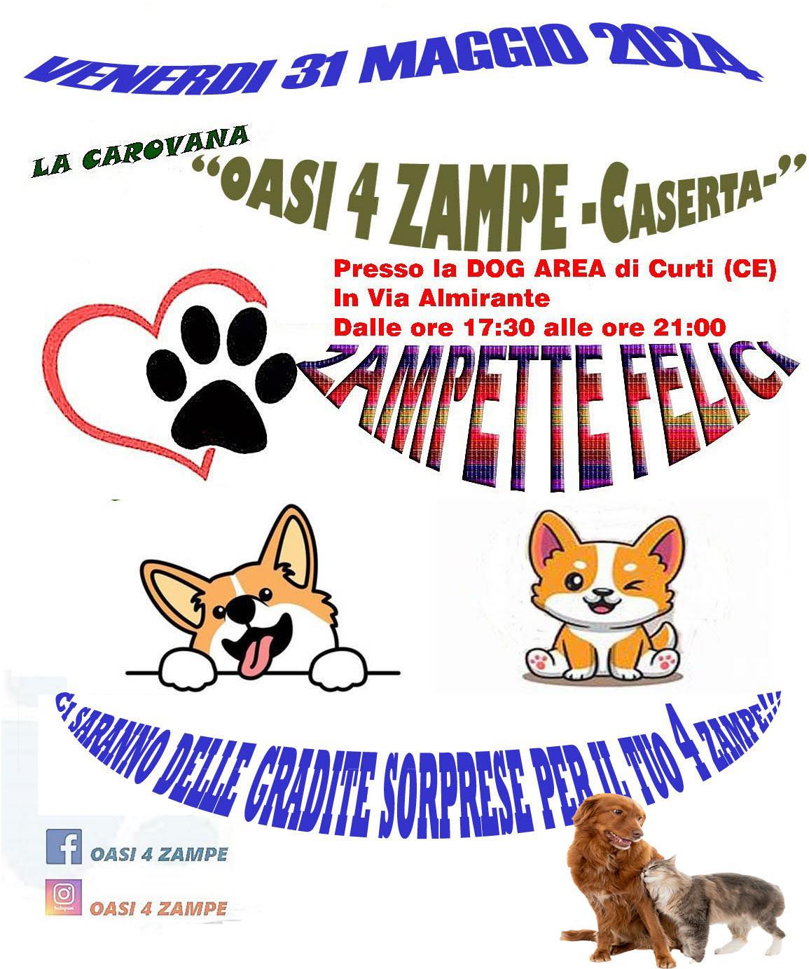 zampette felici curti CURTI, ZAMPETTE FELICI: EVENTO ALLA PET AREA DI VIA ALMIRANTE