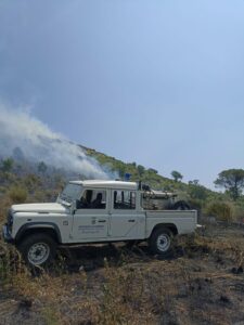 antincendio 225x300 AL VIA IL SERVIZIO ANTINCENDIO BOSCHIVO 2024. MAGLIOCCA: ATTIVITA FONDAMENTALE PER LA SALVAGUARDIA DEI BOSCHI