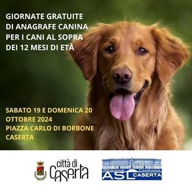 cani  FLIK FLOK: A CASERTA DUE APPUNTAMENTI CON “MICROCHIPPIAMOLI PER AMORE”