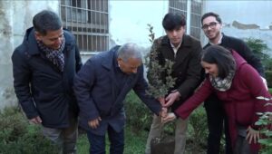 %name FORUM DEI GIOVANI   PIANTATO UN ALBERO COME SIMBOLO DI LEGALITÀ NEL GIARDINO DEL PALAZZO COMUNALE